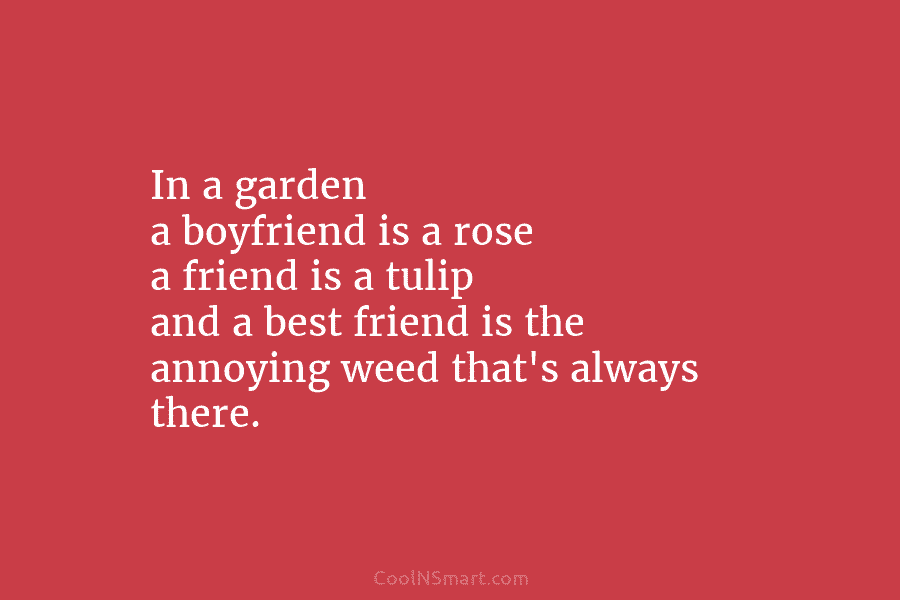 In a garden a boyfriend is a rose a friend is a tulip and a best friend is the annoying...