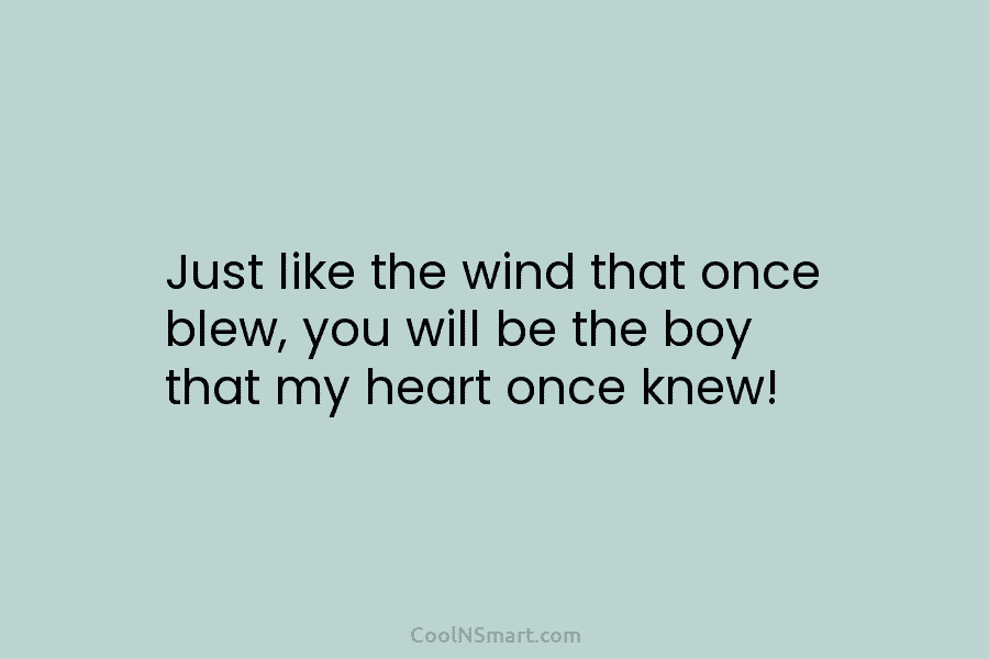 Just like the wind that once blew, you will be the boy that my heart...