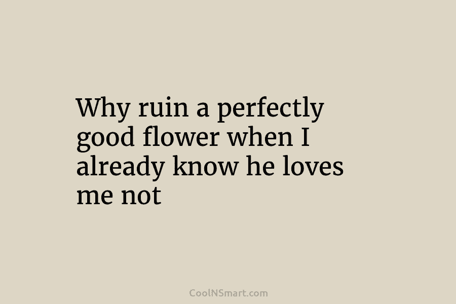 Why ruin a perfectly good flower when I already know he loves me not