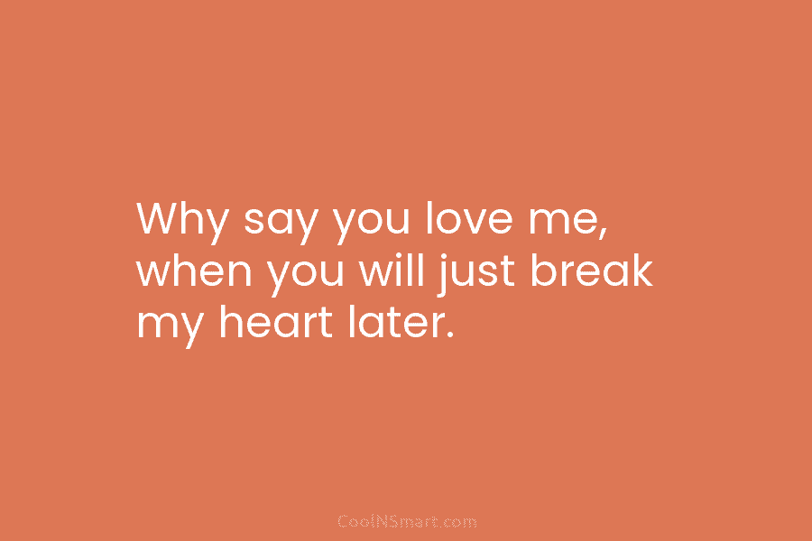 Why say you love me, when you will just break my heart later.