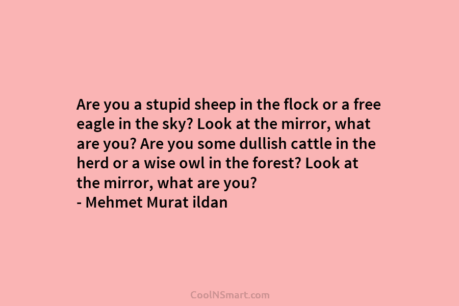 Are you a stupid sheep in the flock or a free eagle in the sky?...