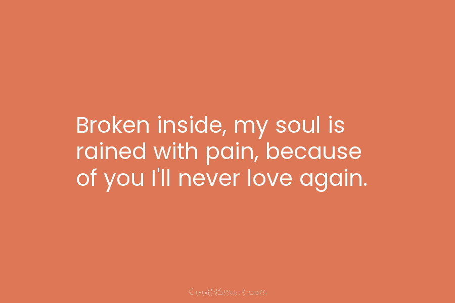 Broken inside, my soul is rained with pain, because of you I’ll never love again.