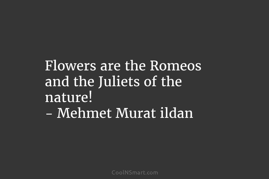 Flowers are the Romeos and the Juliets of the nature! – Mehmet Murat ildan