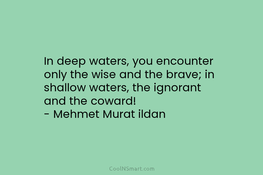 In deep waters, you encounter only the wise and the brave; in shallow waters, the ignorant and the coward! –...