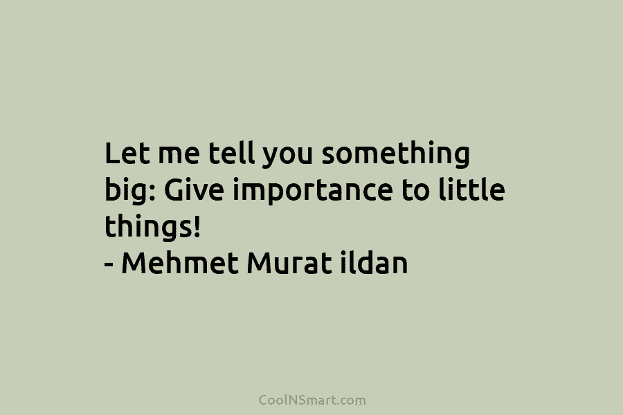Let me tell you something big: Give importance to little things! – Mehmet Murat ildan