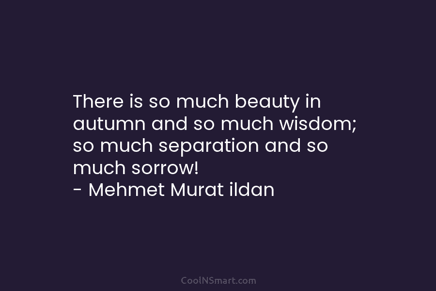 There is so much beauty in autumn and so much wisdom; so much separation and...