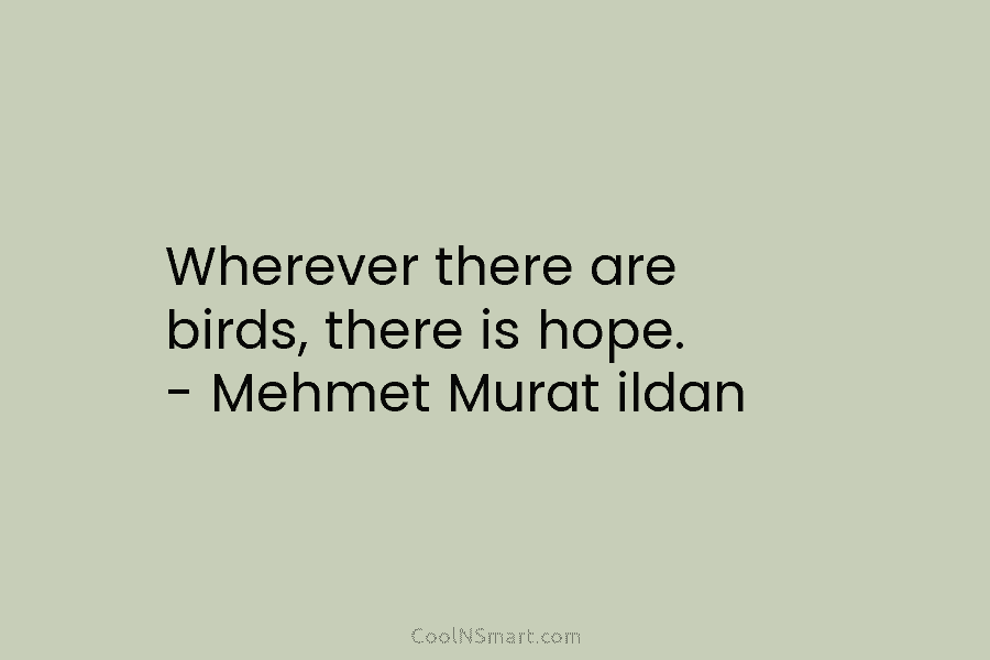 Wherever there are birds, there is hope. – Mehmet Murat ildan