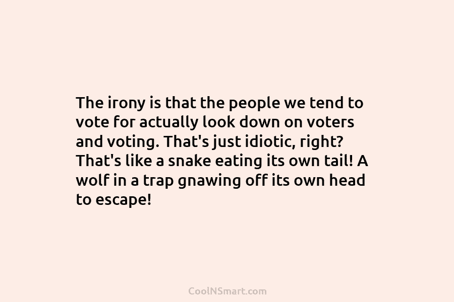 The irony is that the people we tend to vote for actually look down on...