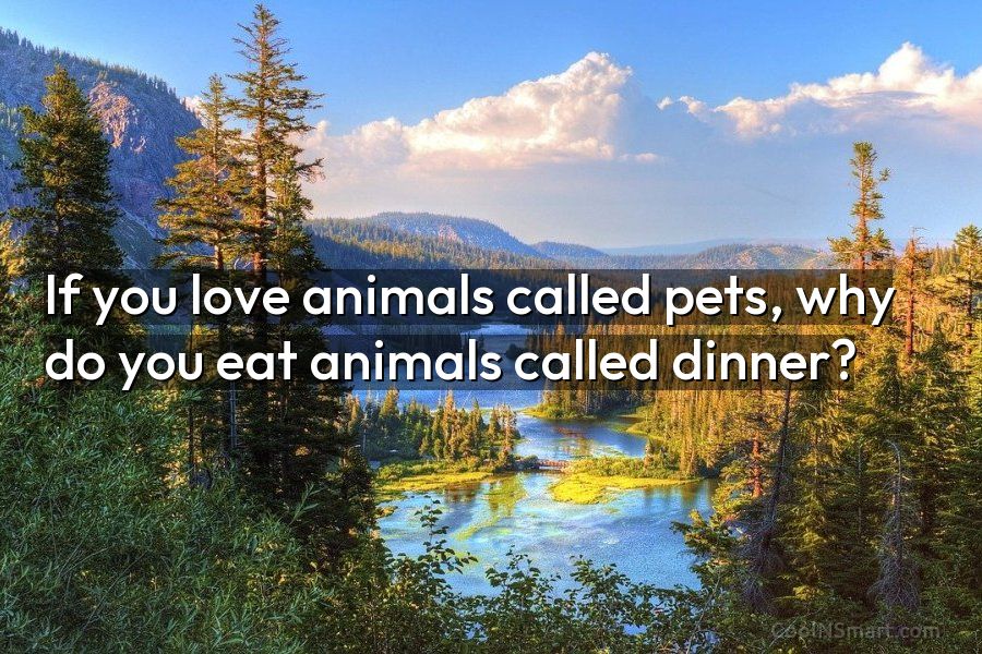 Quote: If you love animals called pets, why do you eat animals called... -  CoolNSmart