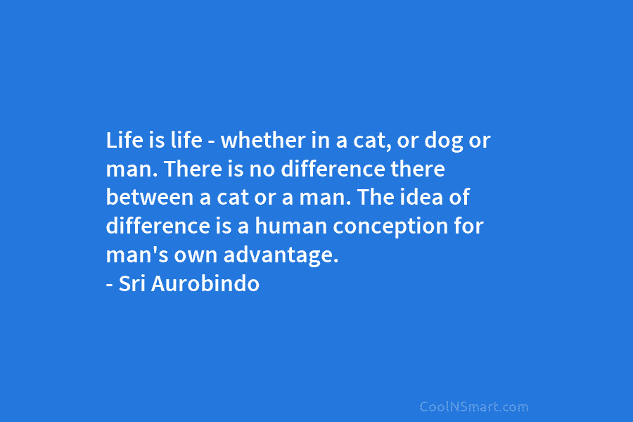 Life is life – whether in a cat, or dog or man. There is no difference there between a cat...