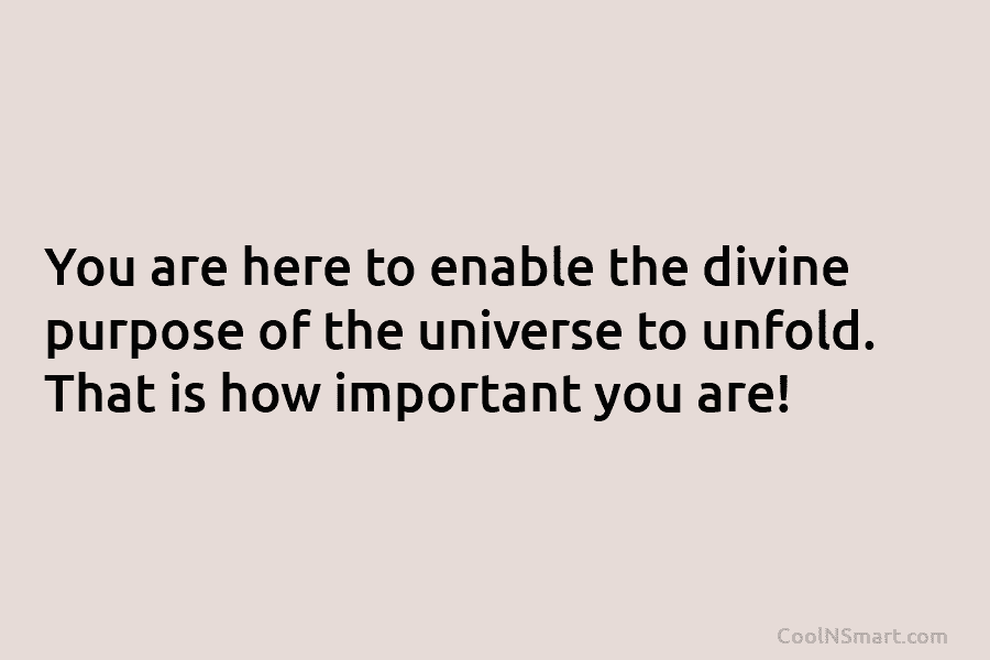 You are here to enable the divine purpose of the universe to unfold. That is...