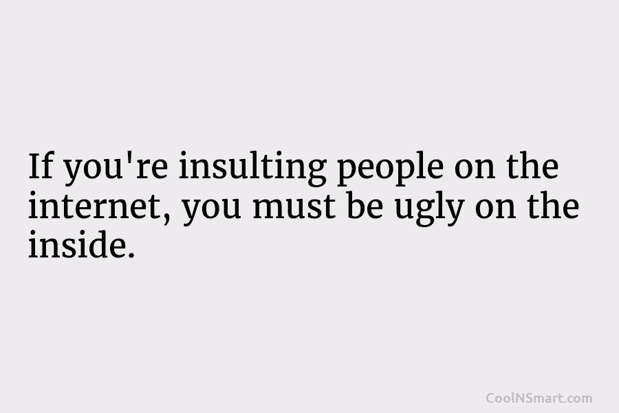 If you’re insulting people on the internet, you must be ugly on the inside.