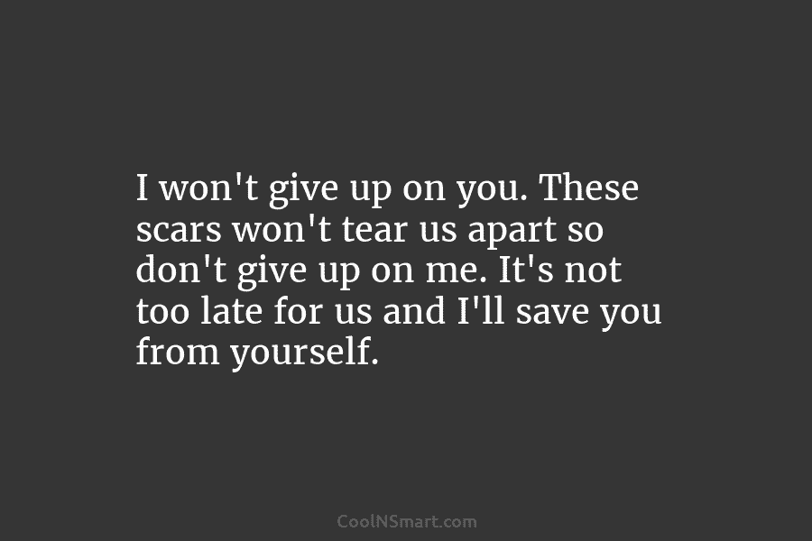 I won’t give up on you. These scars won’t tear us apart so don’t give up on me. It’s not...