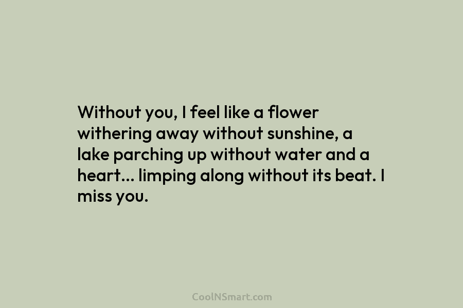 Without you, I feel like a flower withering away without sunshine, a lake parching up...