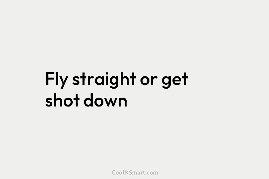 Fly straight or get shot down