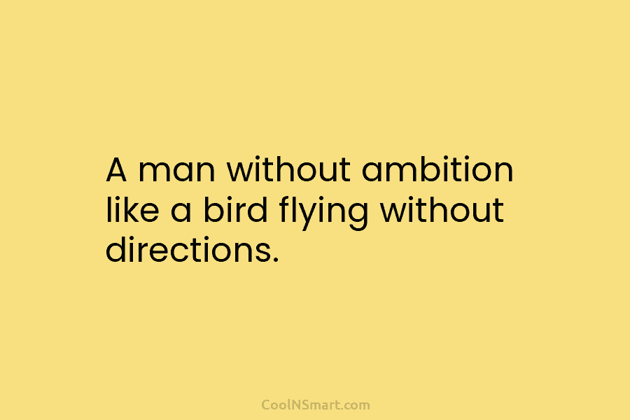 A man without ambition like a bird flying without directions.