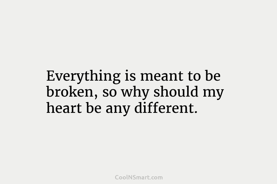 Everything is meant to be broken, so why should my heart be any different.