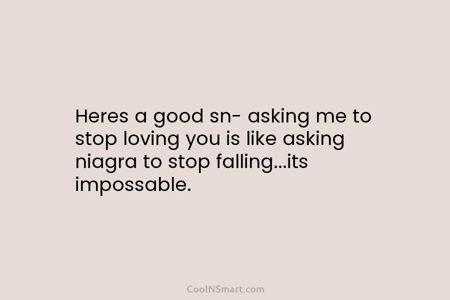Heres a good sn- asking me to stop loving you is like asking niagra to stop falling…its impossable.
