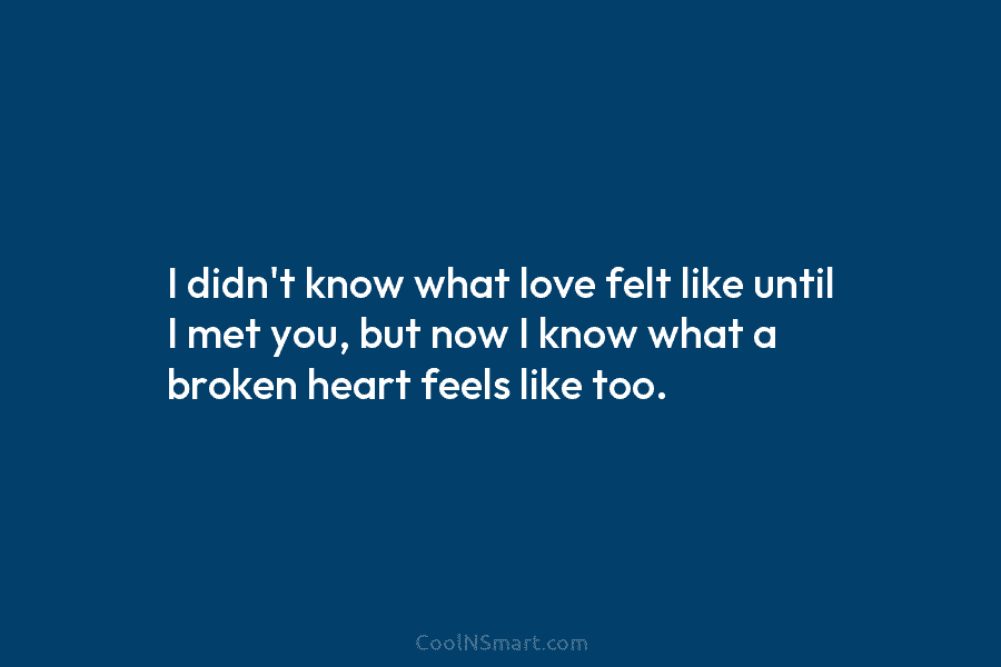 I didn’t know what love felt like until I met you, but now I know what a broken heart feels...