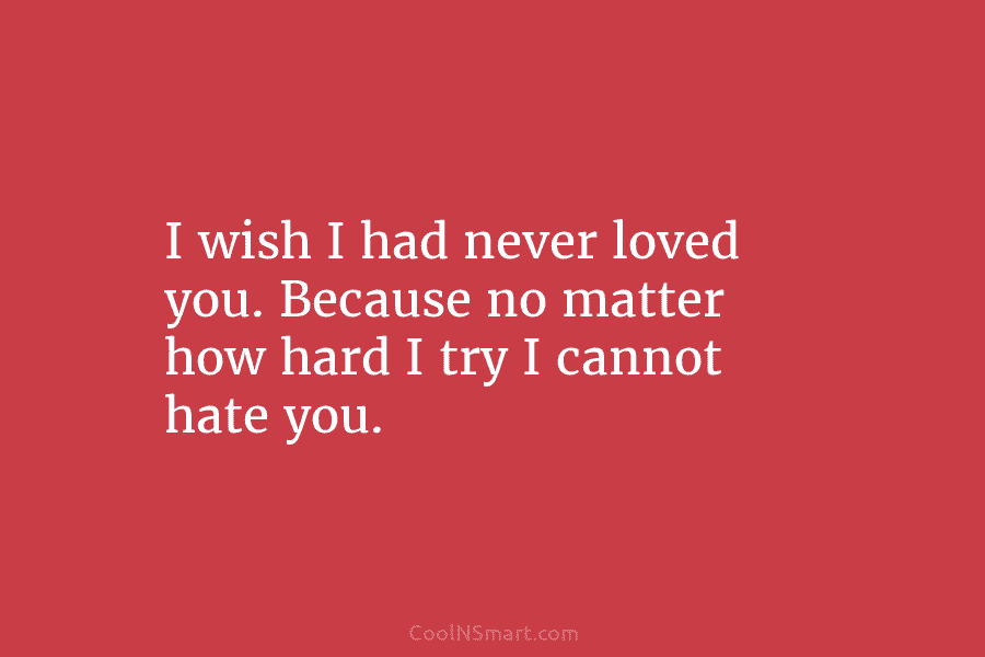 I wish I had never loved you. Because no matter how hard I try I...