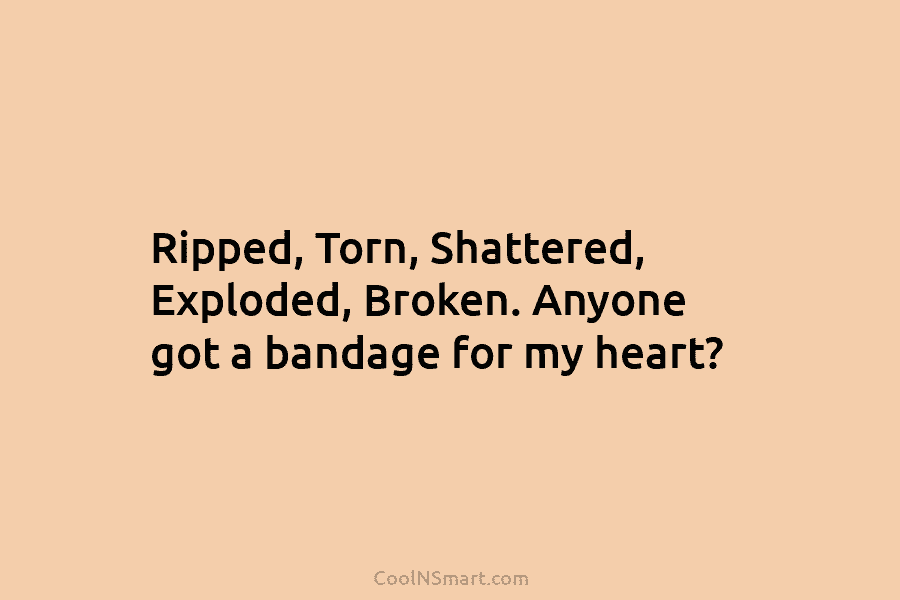 Ripped, Torn, Shattered, Exploded, Broken. Anyone got a bandage for my heart?