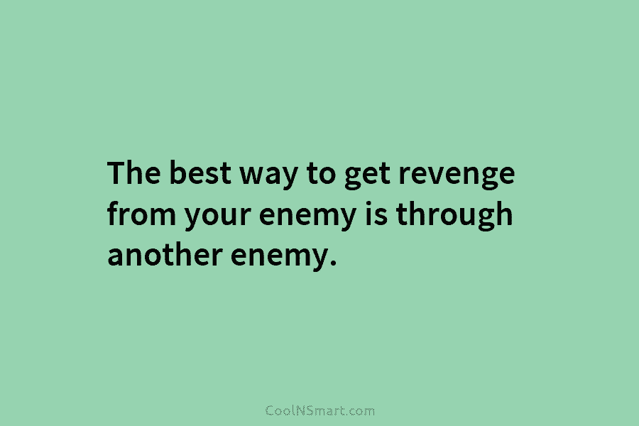 The best way to get revenge from your enemy is through another enemy.