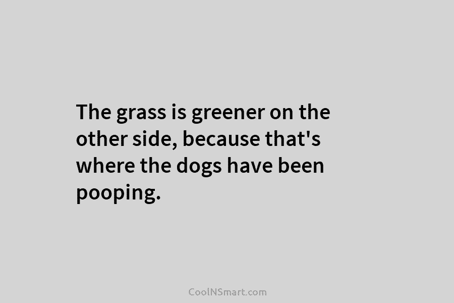 The grass is greener on the other side, because that’s where the dogs have been...