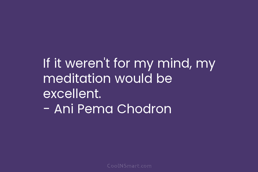 If it weren’t for my mind, my meditation would be excellent. – Ani Pema Chodron