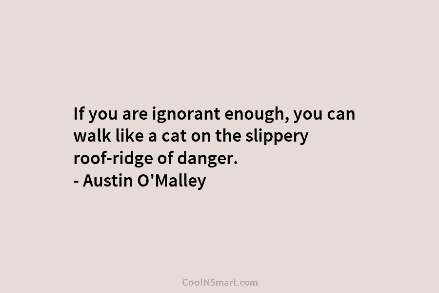 If you are ignorant enough, you can walk like a cat on the slippery roof-ridge of danger. – Austin O’Malley
