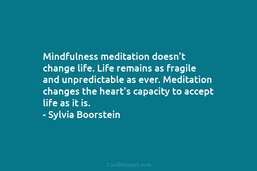 Mindfulness meditation doesn’t change life. Life remains as fragile and unpredictable as ever. Meditation changes...