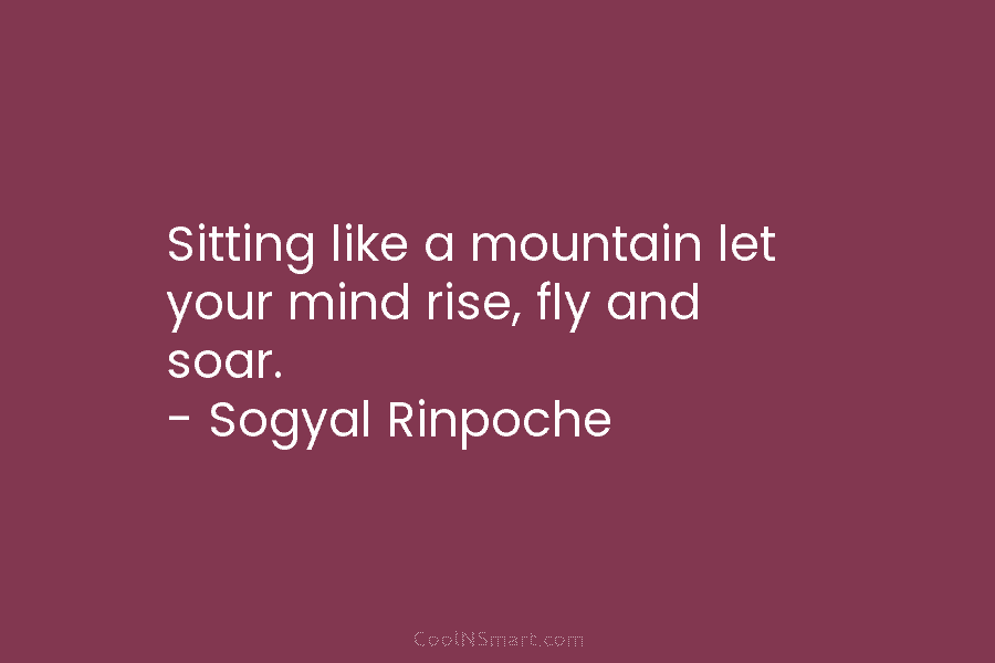 Sitting like a mountain let your mind rise, fly and soar. – Sogyal Rinpoche