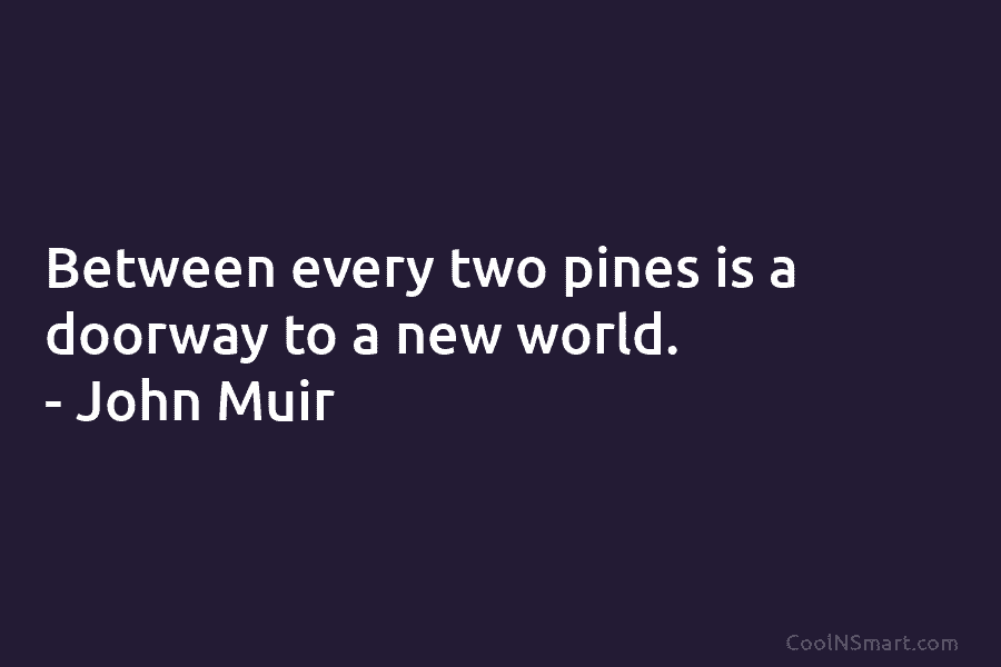 Between every two pines is a doorway to a new world. – John Muir