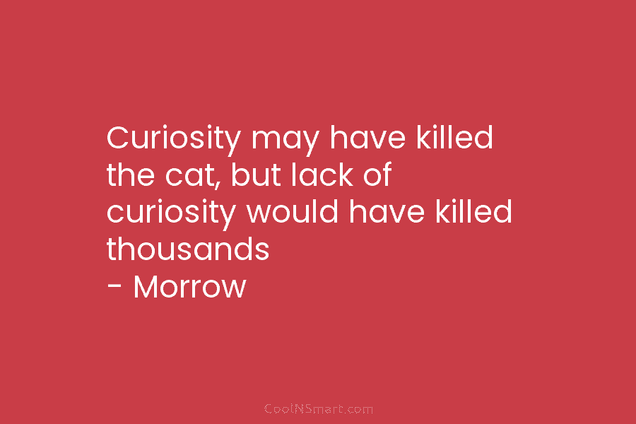 Curiosity may have killed the cat, but lack of curiosity would have killed thousands – Morrow