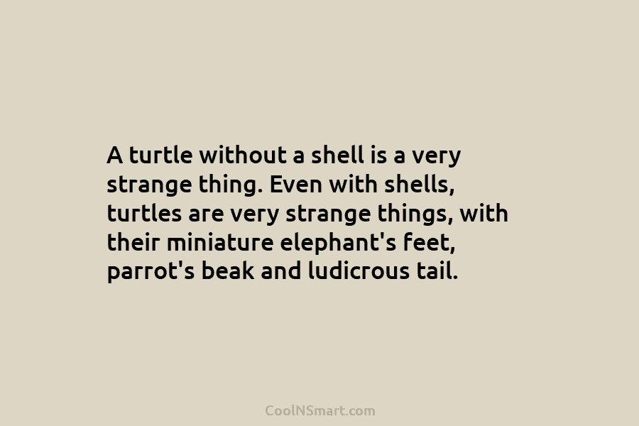A turtle without a shell is a very strange thing. Even with shells, turtles are very strange things, with their...