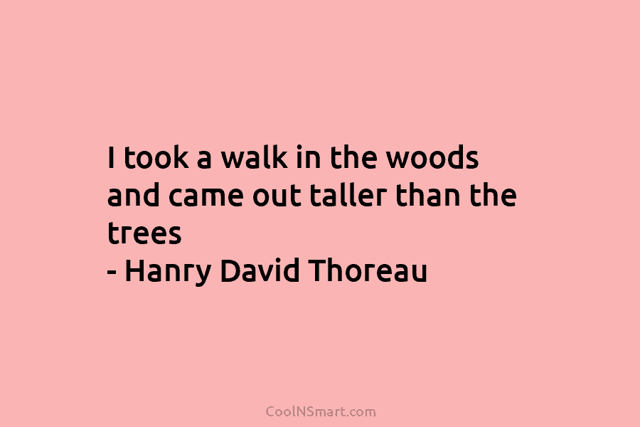 I took a walk in the woods and came out taller than the trees – Hanry David Thoreau