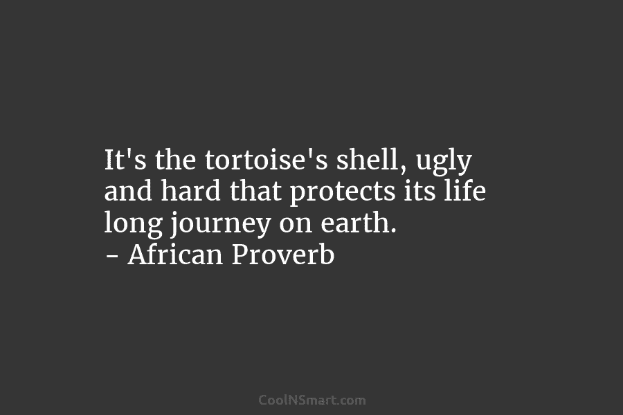 It’s the tortoise’s shell, ugly and hard that protects its life long journey on earth. – African Proverb