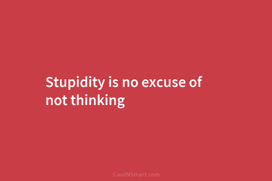 Stupidity is no excuse of not thinking