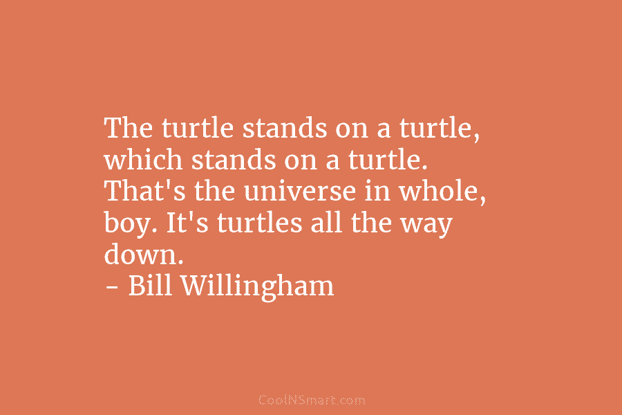 The turtle stands on a turtle, which stands on a turtle. That’s the universe in whole, boy. It’s turtles all...