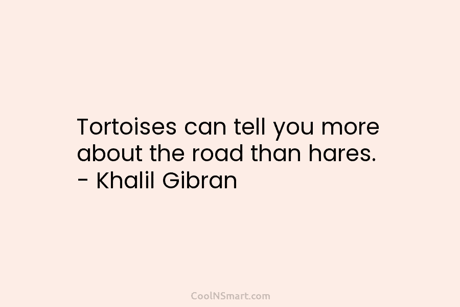 Tortoises can tell you more about the road than hares. – Khalil Gibran