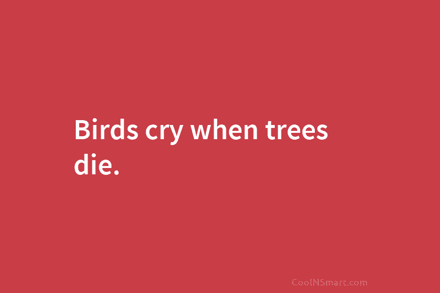 Birds cry when trees die.