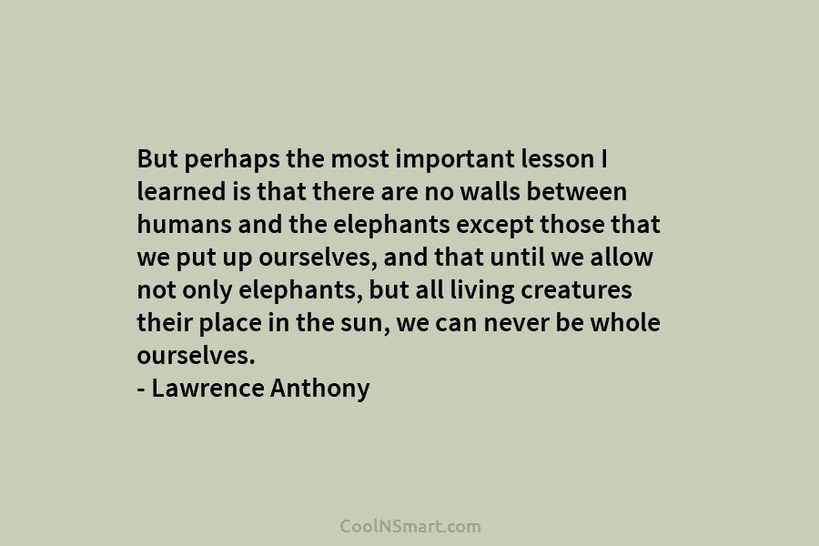 But perhaps the most important lesson I learned is that there are no walls between...