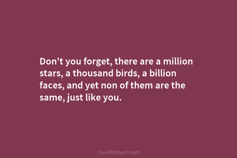 Don’t you forget, there are a million stars, a thousand birds, a billion faces, and...