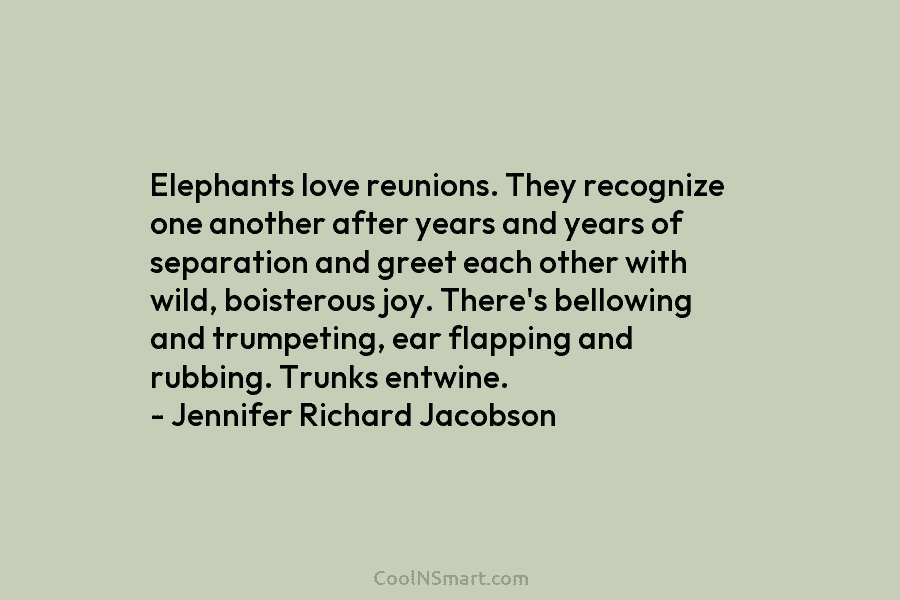 Elephants love reunions. They recognize one another after years and years of separation and greet each other with wild, boisterous...