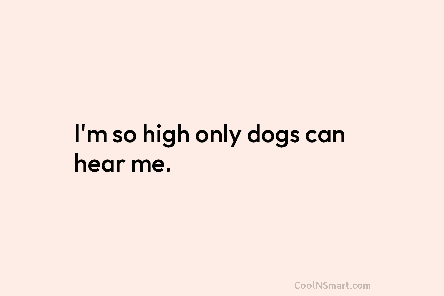 I’m so high only dogs can hear me.