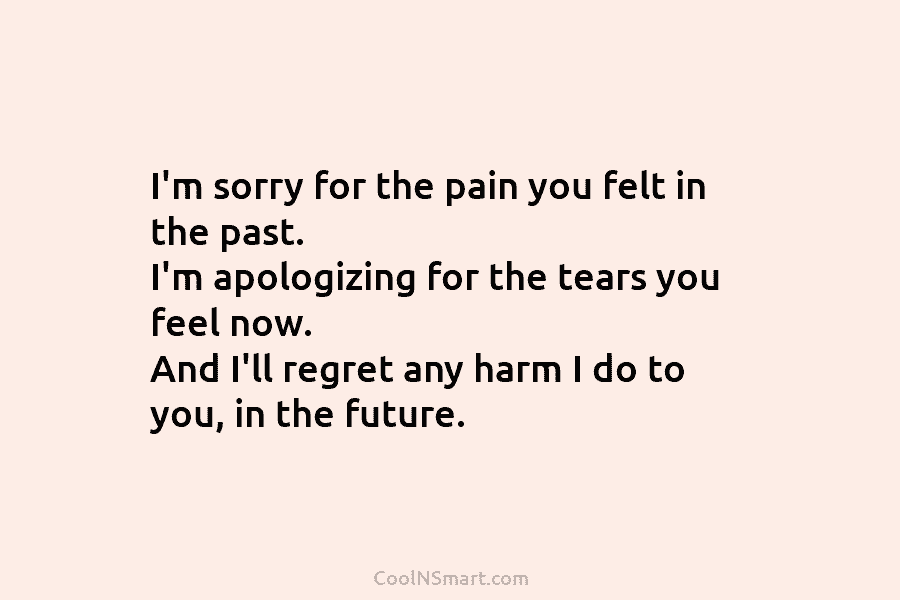 I’m sorry for the pain you felt in the past. I’m apologizing for the tears...