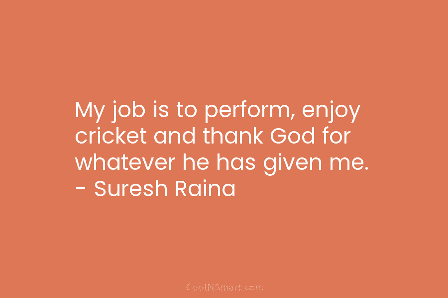 My job is to perform, enjoy cricket and thank God for whatever he has given...