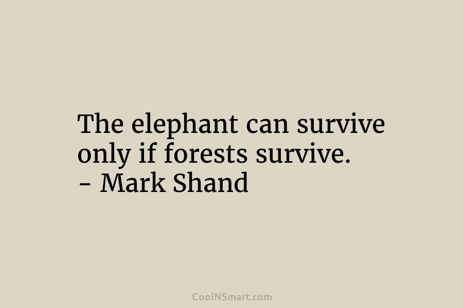 The elephant can survive only if forests survive. – Mark Shand