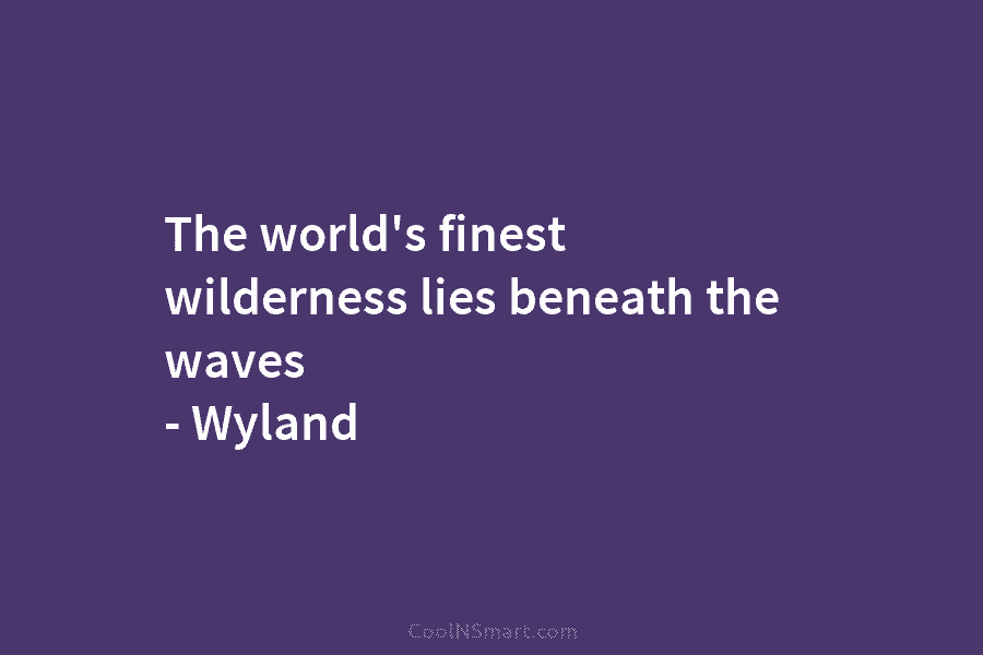 The world’s finest wilderness lies beneath the waves – Wyland