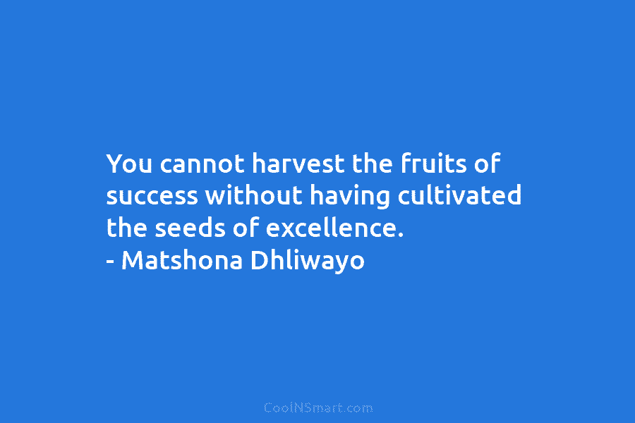 You cannot harvest the fruits of success without having cultivated the seeds of excellence. – Matshona Dhliwayo