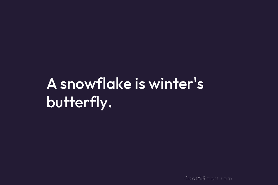 A snowflake is winter’s butterfly.